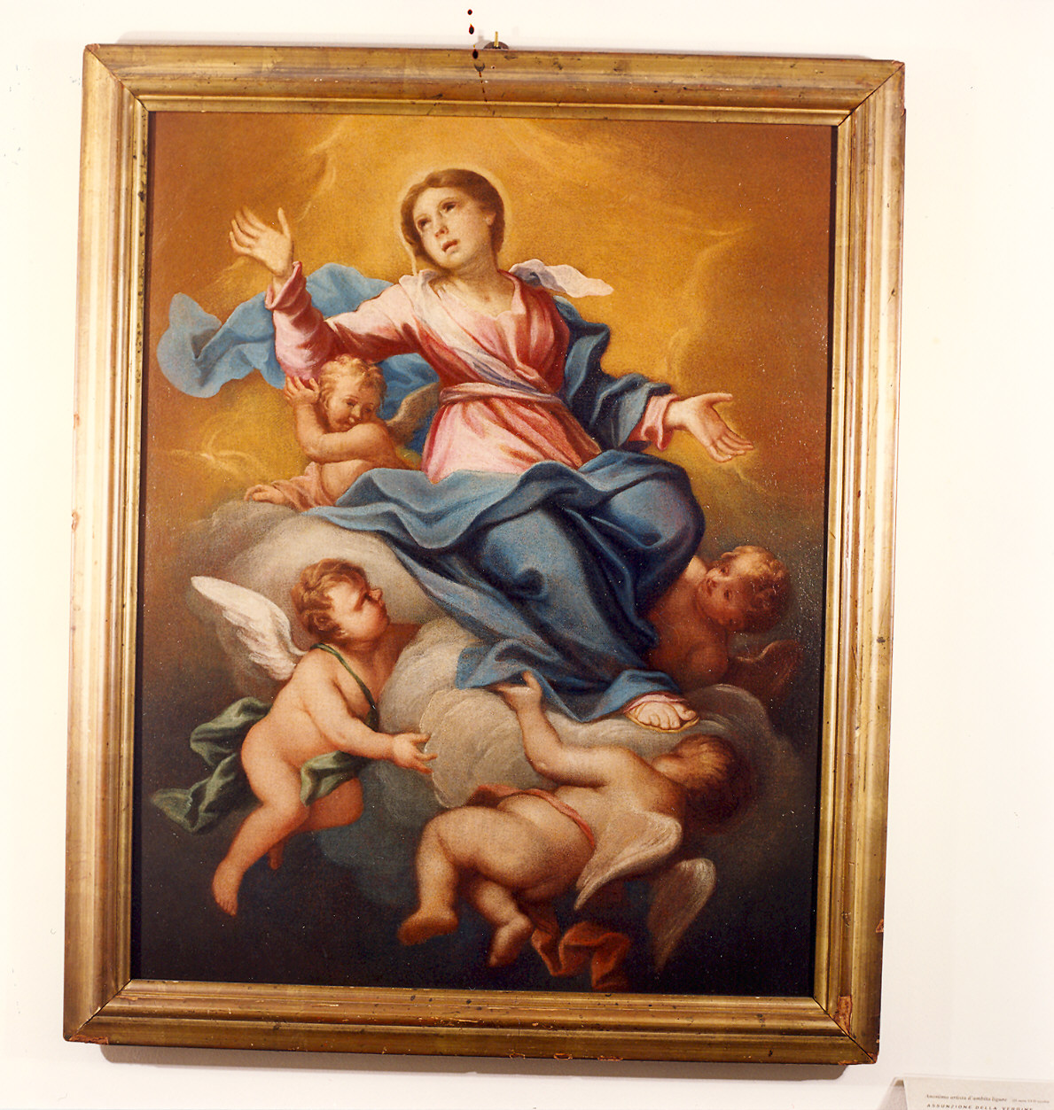 Madonna Assunta con angeli (dipinto) - ambito parmense (seconda metà sec. XVII)
