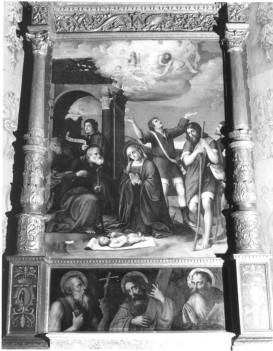 Natività//tre santi (sottoquadro) (dipinto) di Francia Giacomo, Francia Giulio (sec. XVI)