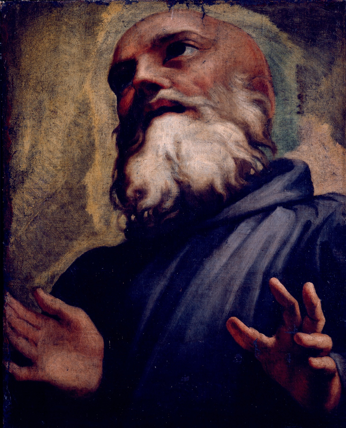 San Mauro (dipinto) di Carracci Annibale (attribuito), Carracci Agostino (attribuito) (sec. XVI)