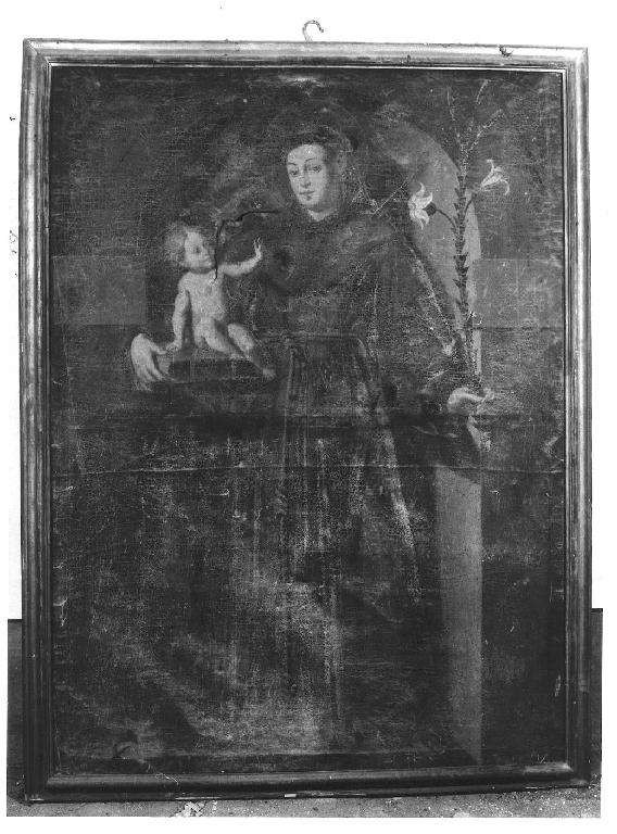 Sant'Antonio da Padova (dipinto) - ambito piacentino (seconda metà sec. XVIII)