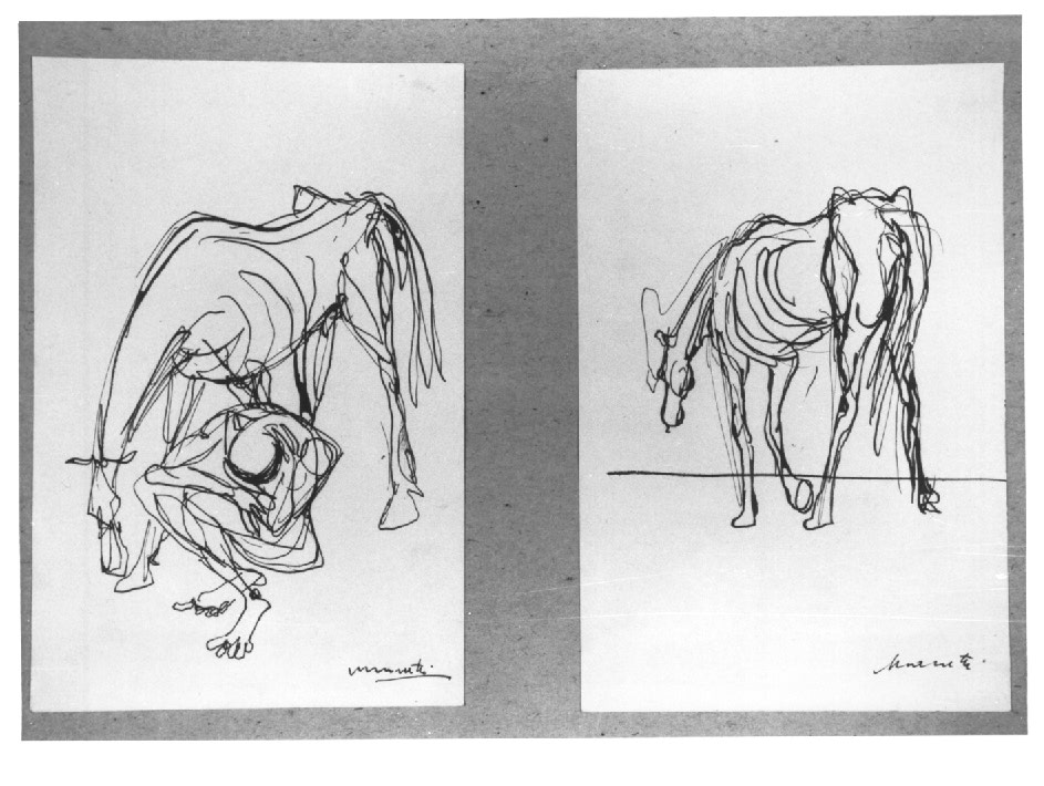 cavalli, cavallo (disegno) - ambito Italia nord-orientale (sec. XX)