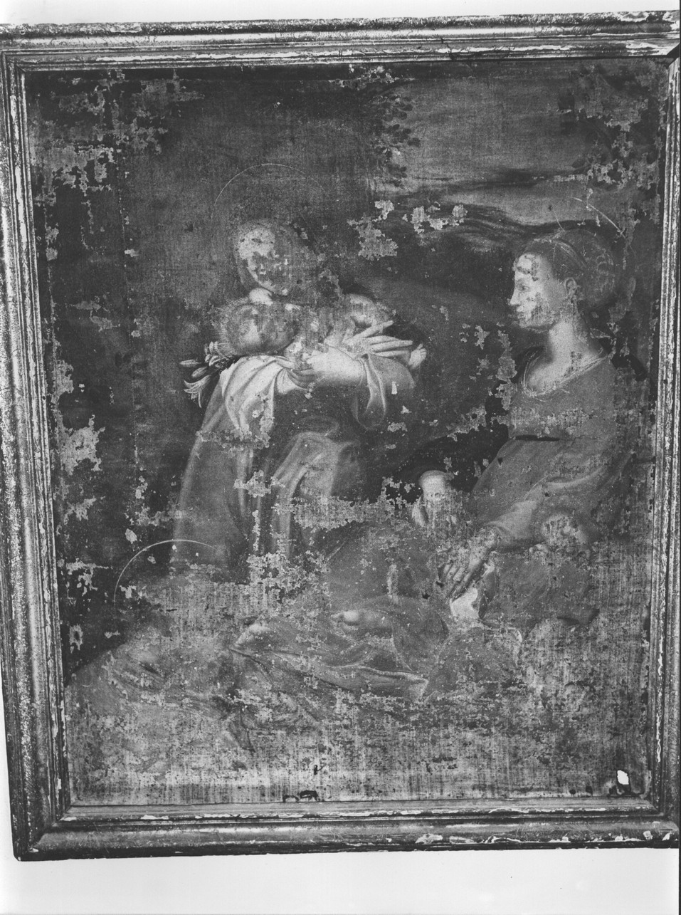 Madonna con Bambino e Santi (dipinto, opera isolata) - ambito italiano (fine/inizio secc. XVII/ XVIII)