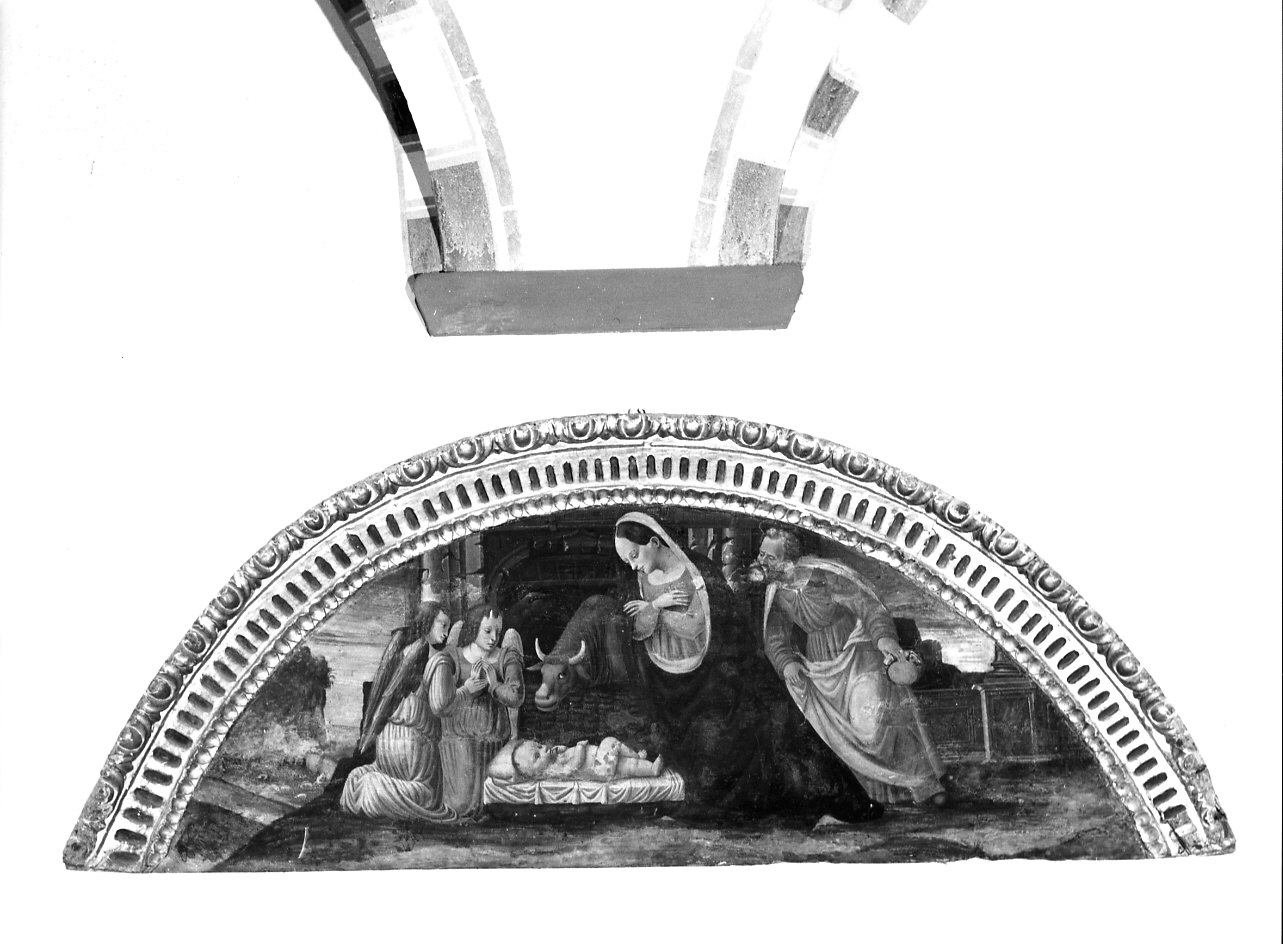 natività di Gesù (scomparto di polittico, opera isolata) - bottega ligure (metà sec. XVI)