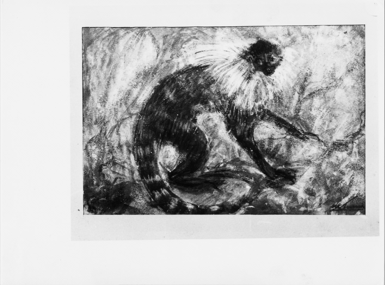 Nistiti, paesaggio con animali (dipinto, opera isolata) di Trucco Manlio (sec. XX)