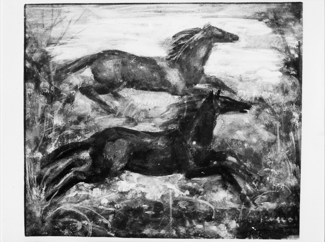 Due cavalli in fuga, cavalli (dipinto, opera isolata) di Trucco Manlio (metà sec. XX)