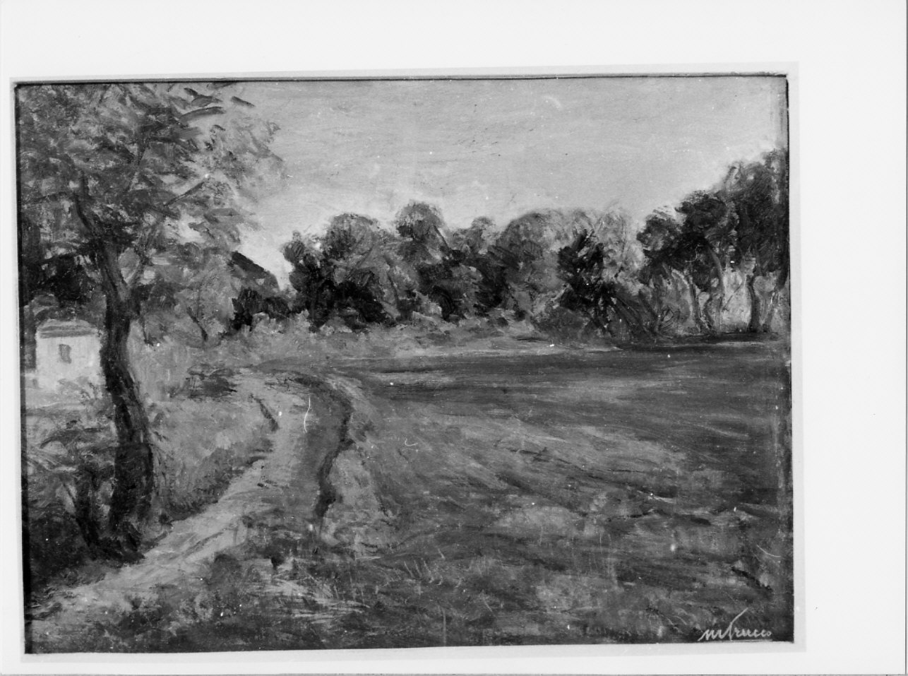 Prato alla Torre, paesaggio con alberi (dipinto, opera isolata) di Trucco Manlio (sec. XX)