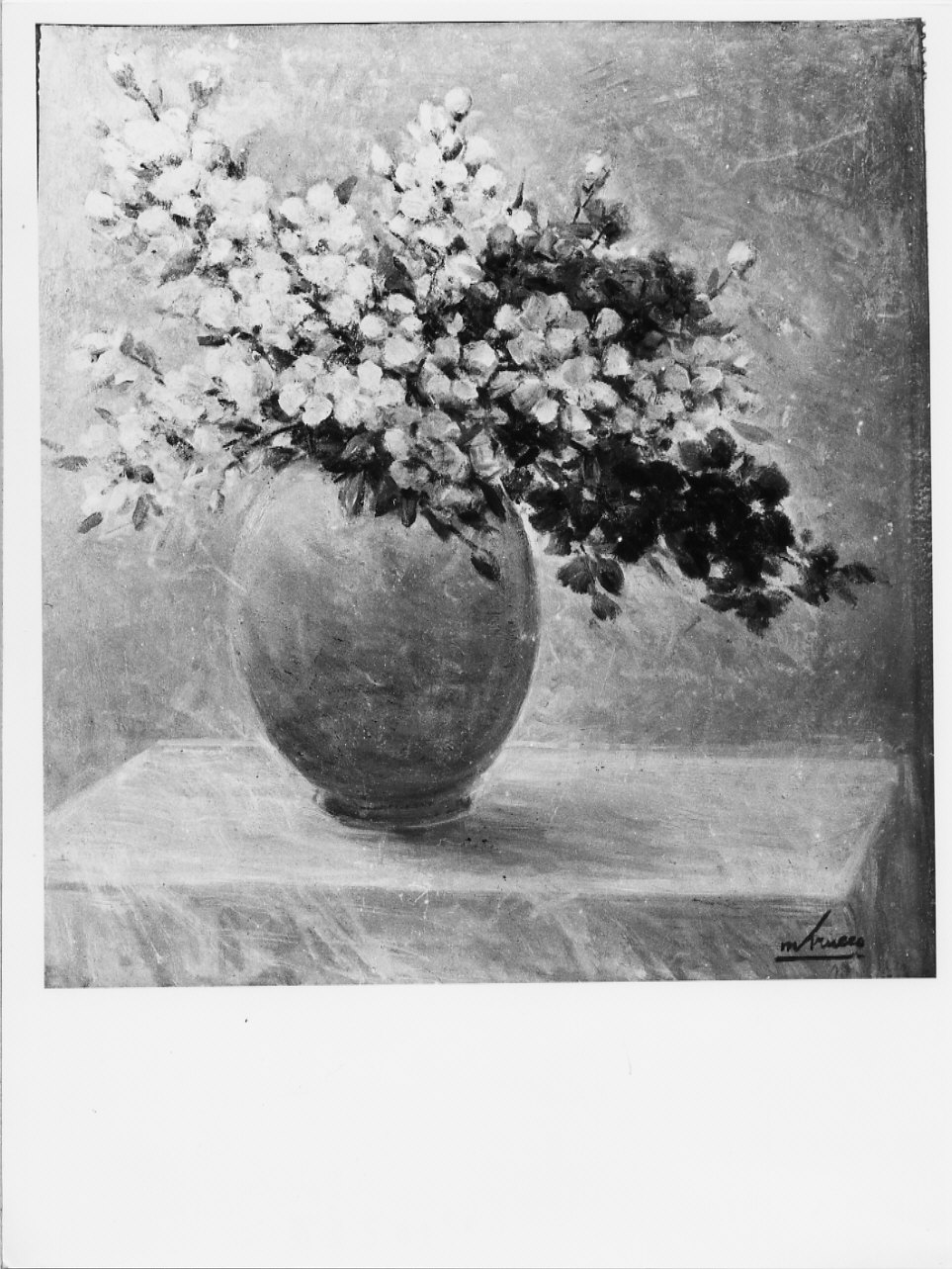 Violaciocche, vaso con fiori (dipinto, opera isolata) di Trucco Manlio (sec. XX)
