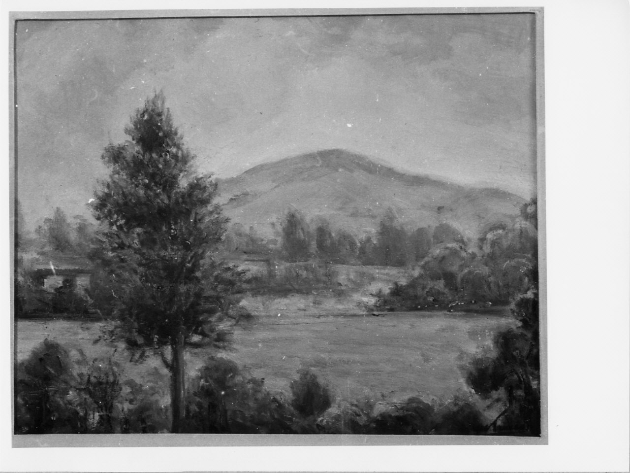Merana, paesaggio rurale (dipinto, opera isolata) di Trucco Manlio (sec. XX)
