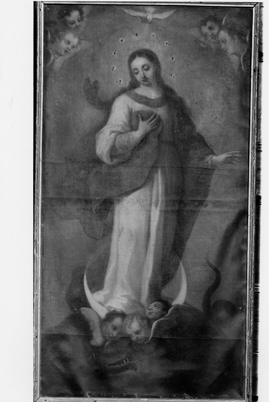 Madonna Immacolata (dipinto, opera isolata) di Spoleti Pier Lorenzo (sec. XVIII)