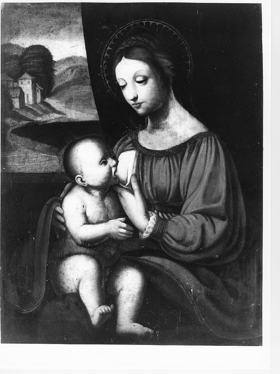 Madonna del Latte (dipinto, opera isolata) - ambito lombardo (metà sec. XVI)