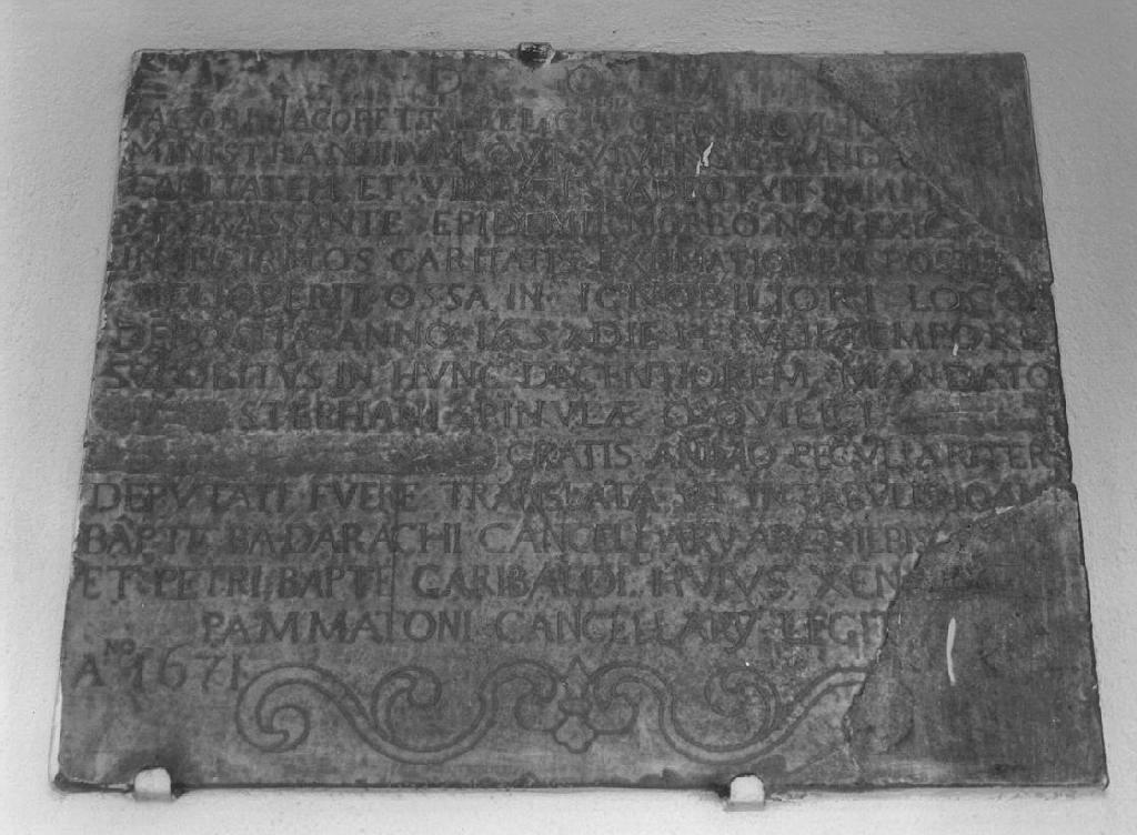 motivo decorativo fitomorfo (lapide tombale, opera isolata) - bottega ligure (sec. XVII)