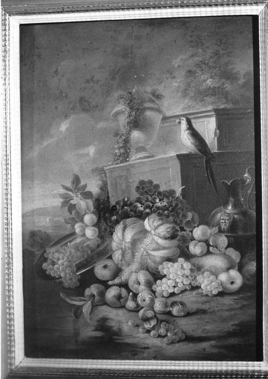 natura morta con rovine e pappagallo (dipinto, opera isolata) - ambito italiano (secc. XVIII/ XIX)