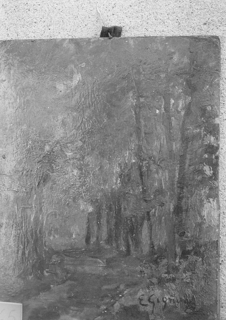 strada all'interno del bosco (dipinto, opera isolata) - ambito italiano (sec. XX)