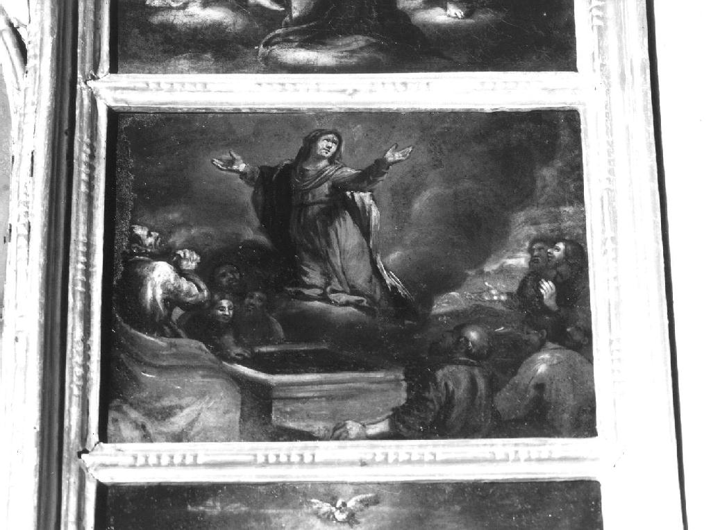 assunzione della Madonna (dipinto, opera isolata) di Carlone Giovanni Battista (scuola) (seconda metà sec. XVII)