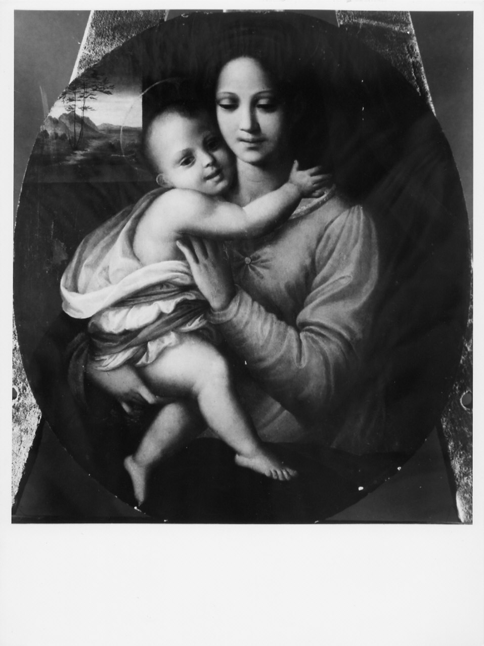 Madonna col Bambino (dipinto, opera isolata) di Andrea del Sarto (prima metà sec. XVI)