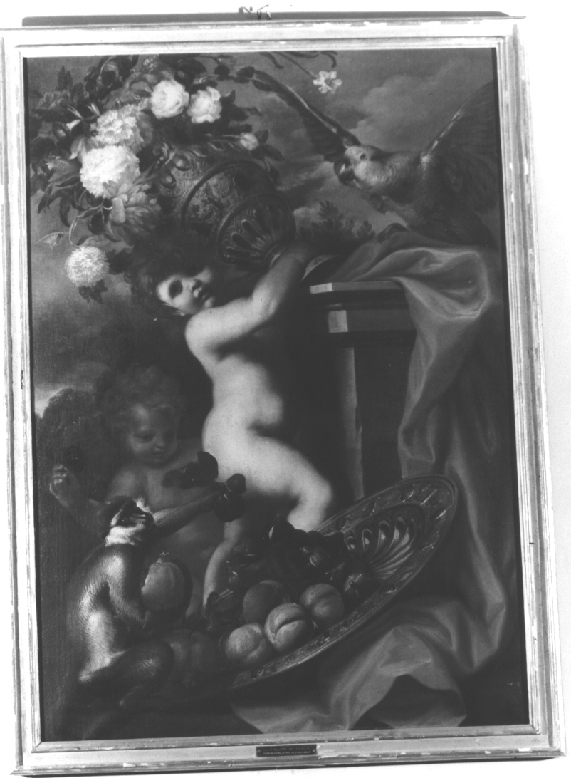 putti con frutta e animali (dipinto, opera isolata) di Piola Domenico (attribuito) (secc. XVII/ XVIII)