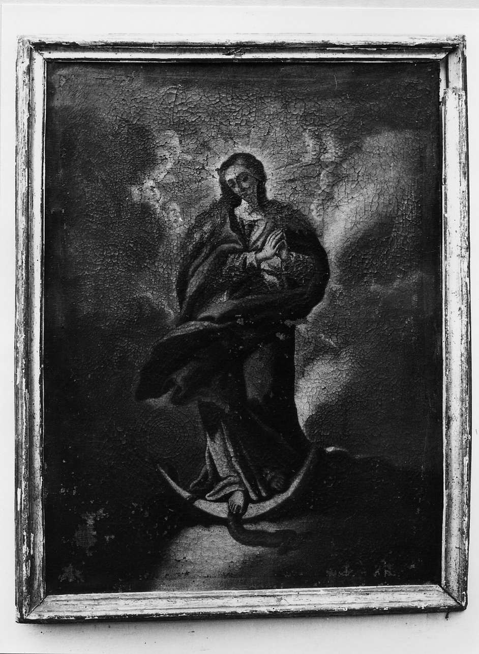 Madonna Immacolata (dipinto, opera isolata) - ambito ligure (sec. XVIII)