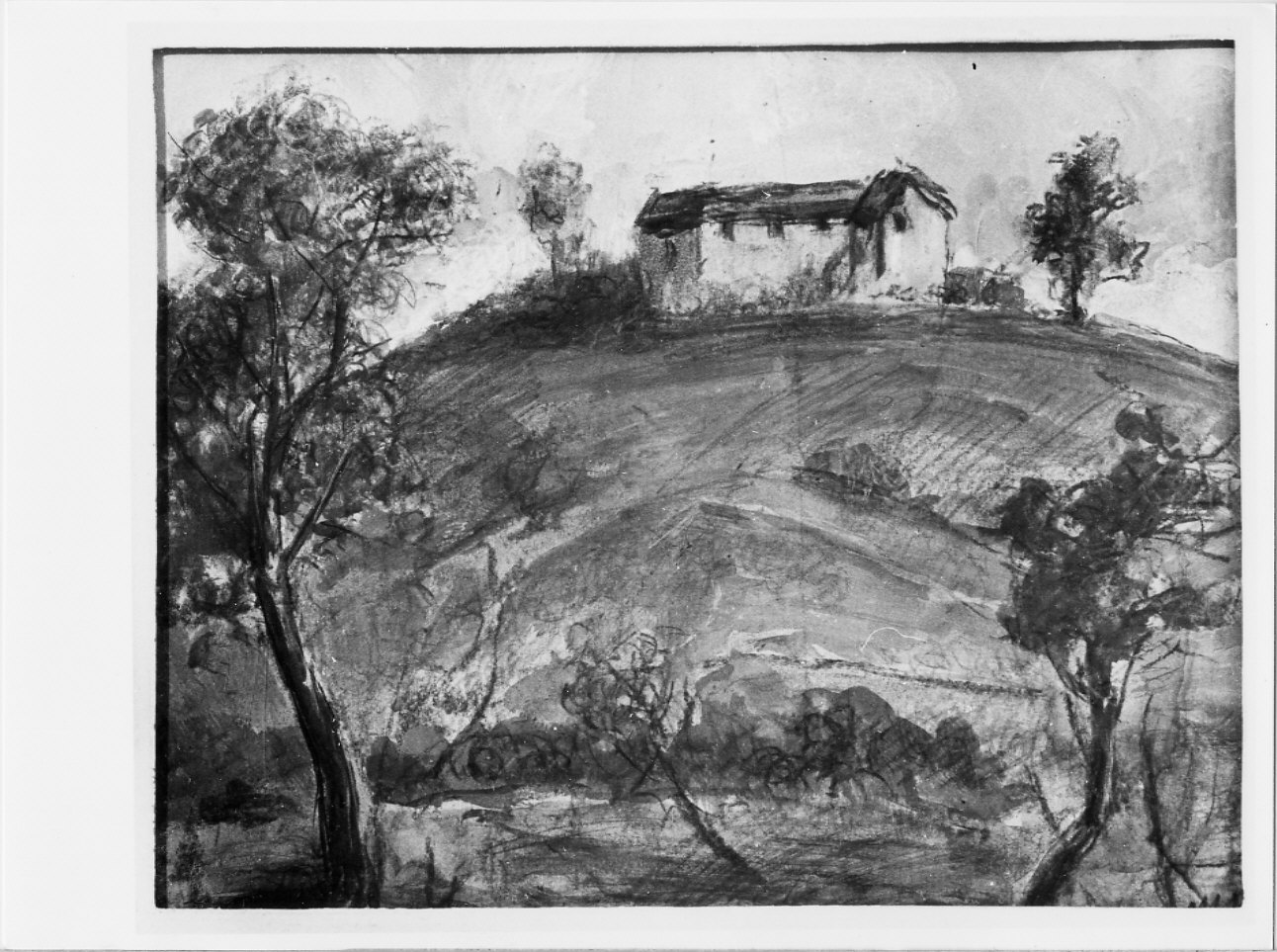 Collinetta a Pareto, paesaggio rurale (disegno, opera isolata) di Trucco Manlio (sec. XX)
