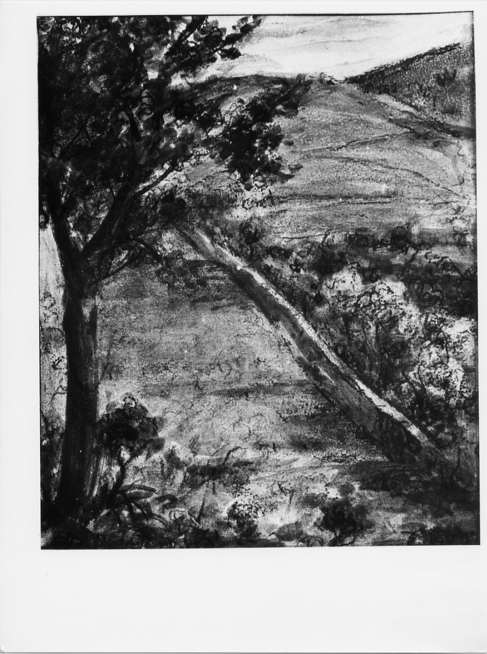 Merana, paesaggio rurale (disegno, opera isolata) di Trucco Manlio (sec. XX)