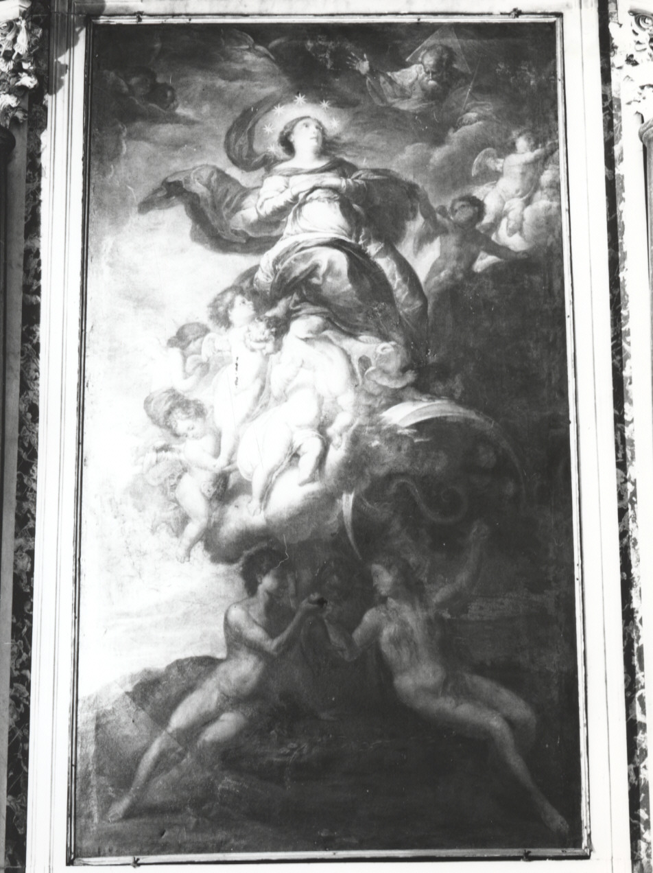 ALLEGORIA DELLA CONCEZIONE (dipinto, opera isolata) di Brusco Paolo Gerolamo detto Bruschetto (sec. XVIII)