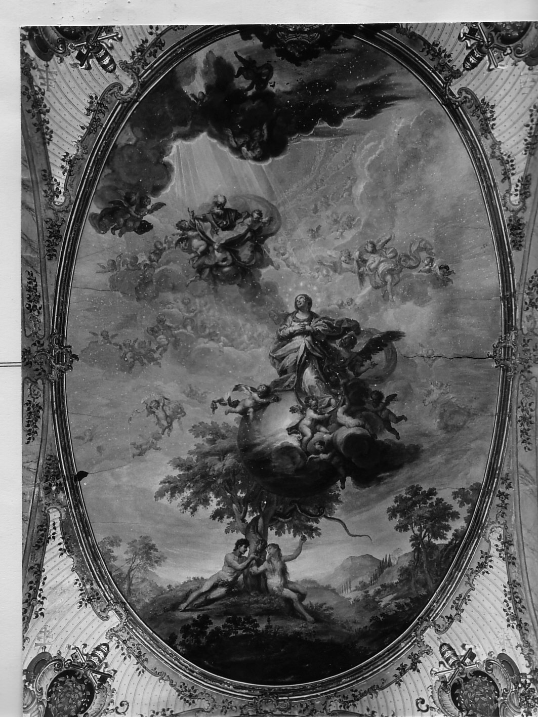 assunzione della Madonna/ Eva coglie il frutto proibito (dipinto, opera isolata) di Brusco Paolo Gerolamo detto Bruschetto (sec. XVIII)