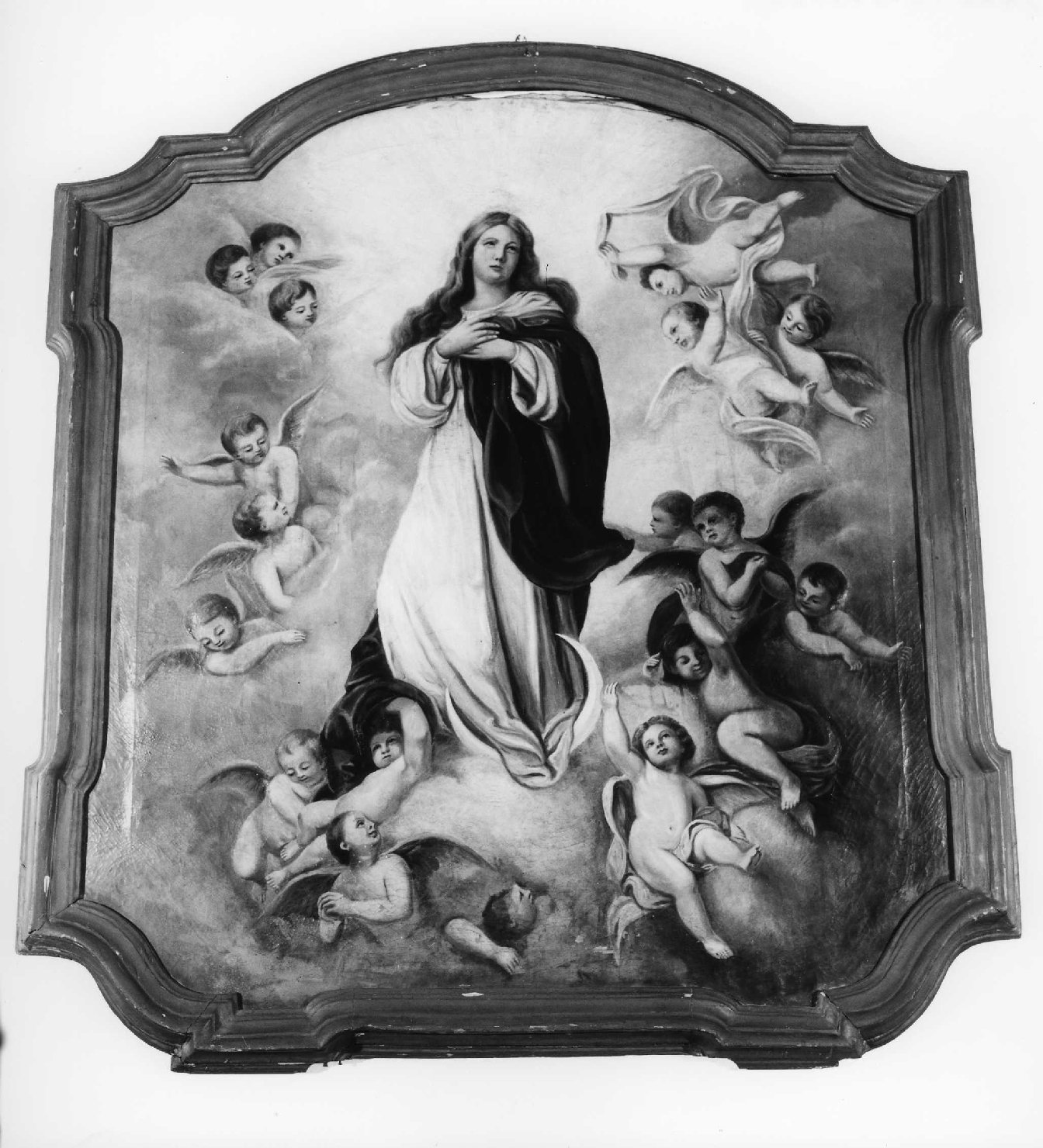 assunzione della Madonna (dipinto, opera isolata) di Gavotti Luigi (sec. XX)