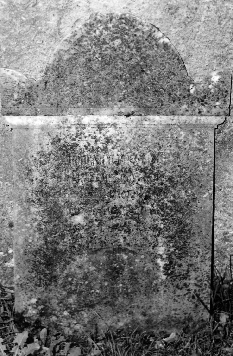 stele funeraria, opera isolata - bottega ligure (ultimo quarto sec. XIX)