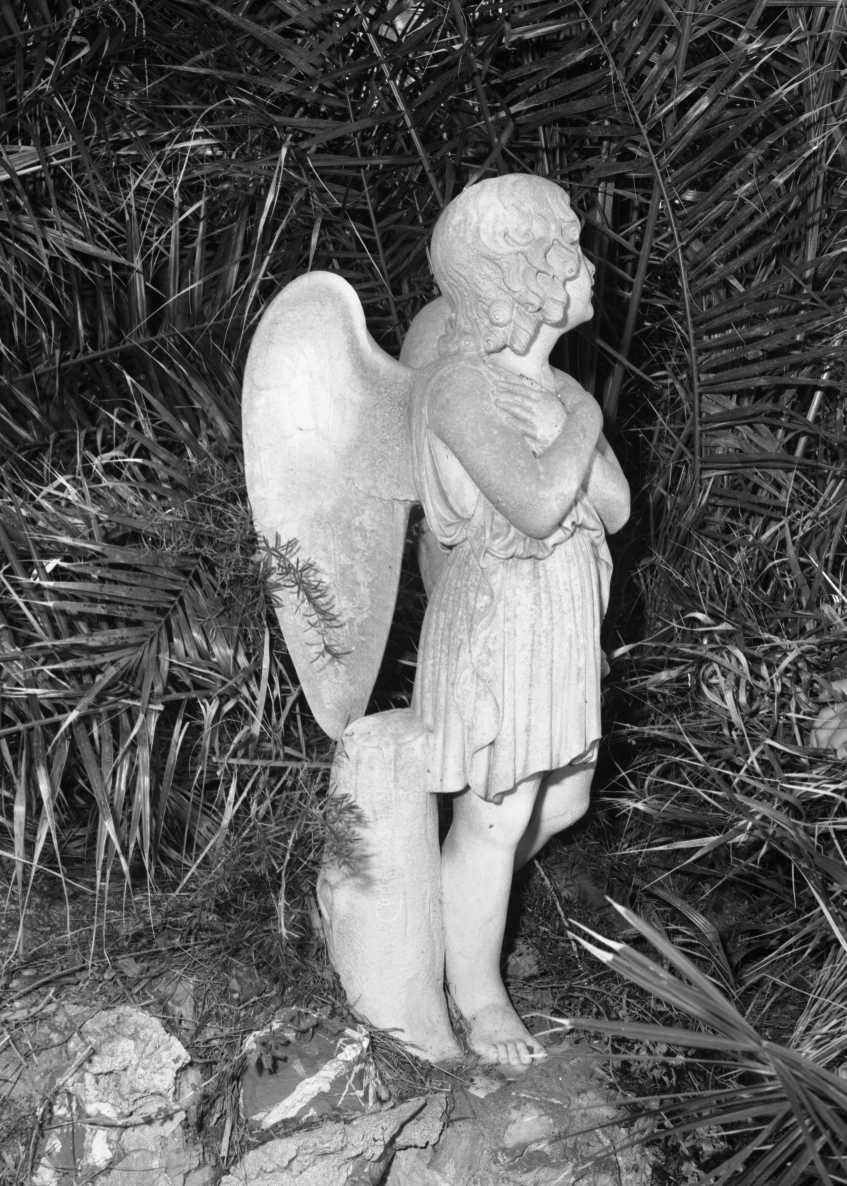angelo (statua, opera isolata) - bottega italiana (fine/inizio secc. XIX/ XX)