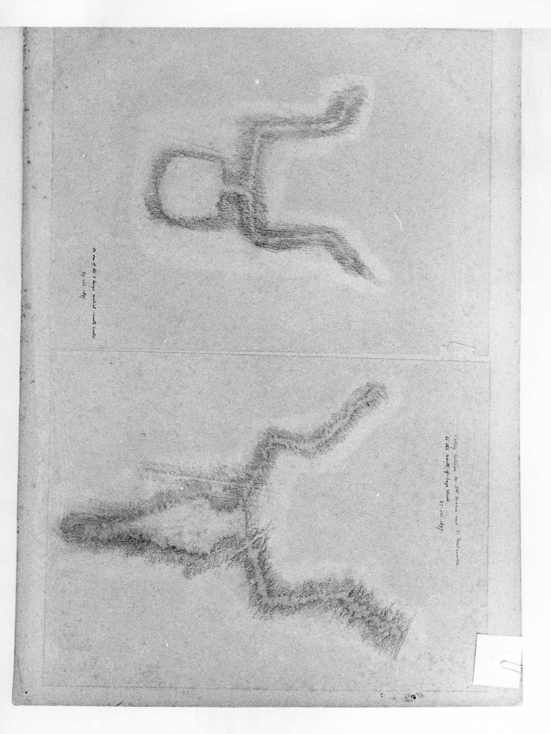 FIGURE ZOOMORFE (disegno) di Bicknell Clarence (attribuito) (sec. XIX)