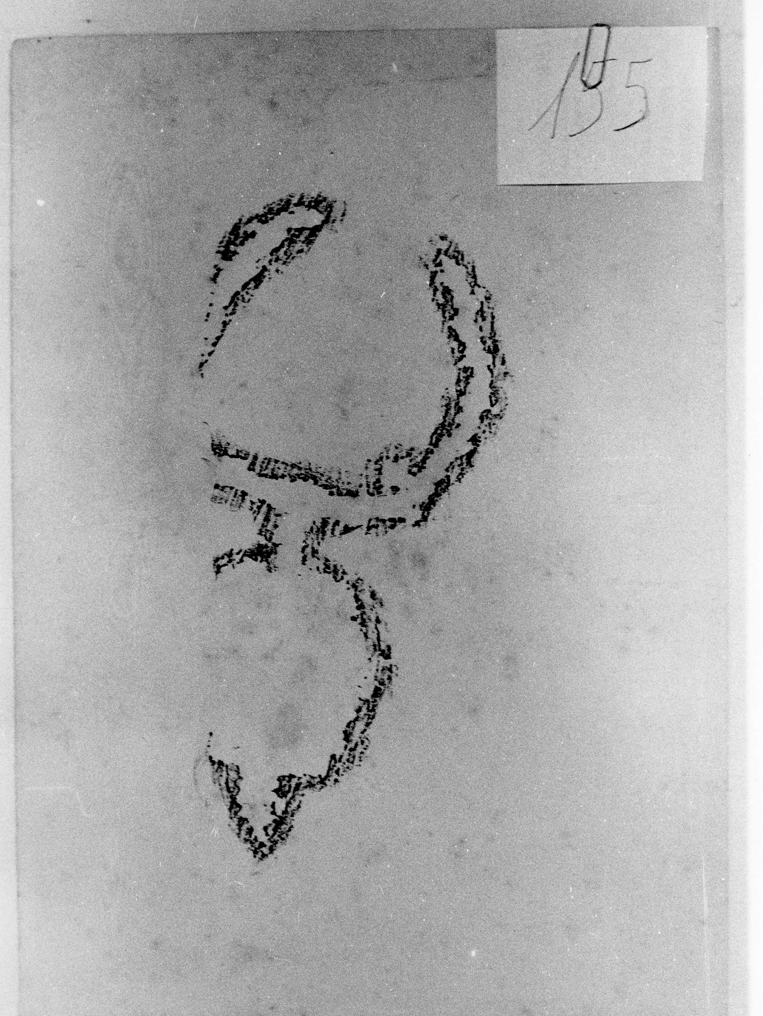 FIGURA ZOOMORFA (disegno) di Bicknell Clarence (attribuito) (secc. XIX/ XX)