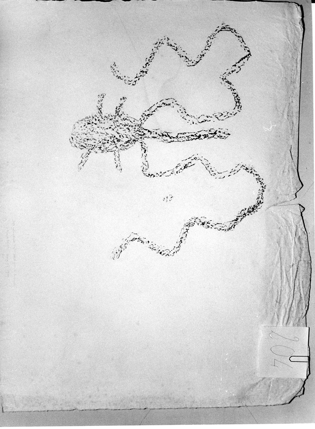 FIGURA ZOOMORFA (disegno) di Bicknell Clarence (attribuito) (sec. XX)