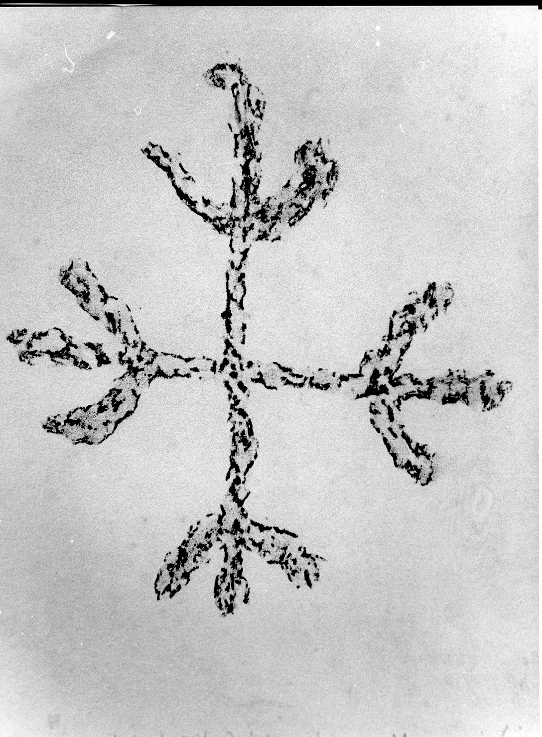 FIGURA CRUCIFORME (disegno) di Bicknell Clarence (attribuito) (sec. XX)