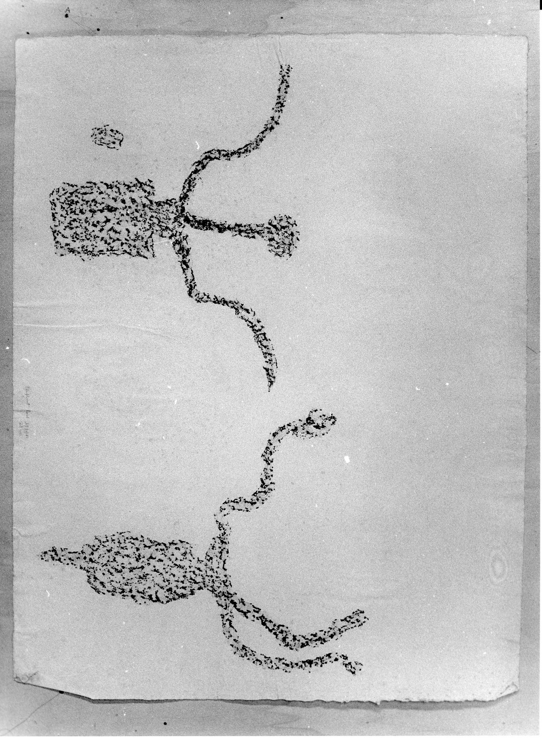 FIGURE ZOOMORFE (disegno) di Bicknell Clarence (attribuito) (sec. XX)