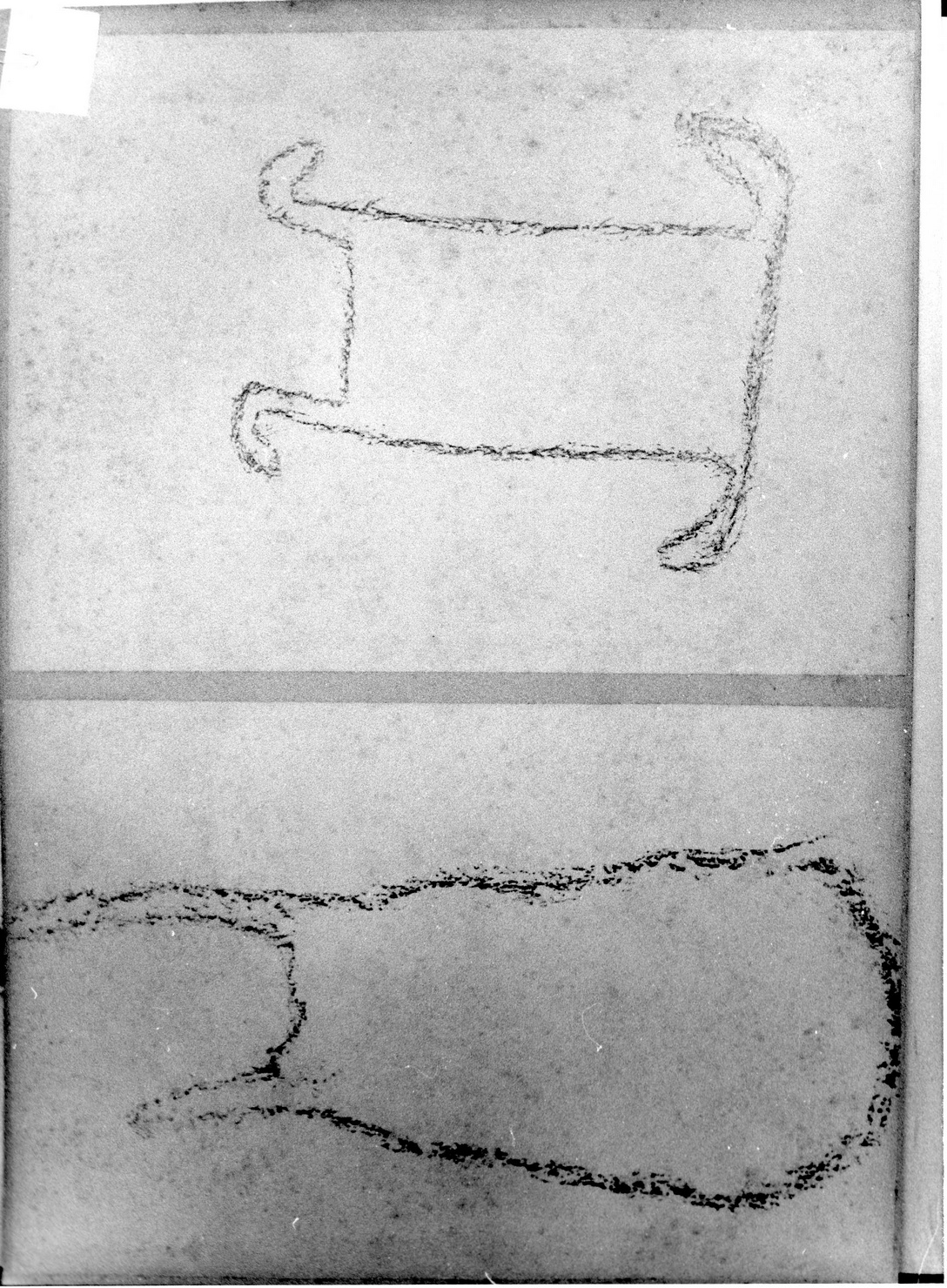 PELLI (disegno) di Bicknell Clarence (attribuito) (secc. XIX/ XX)