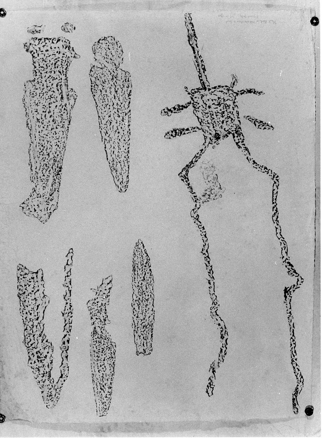 FIGURA ZOOMORFA E LAME (disegno, opera isolata) di Bicknell Clarence (attribuito) (sec. XX)