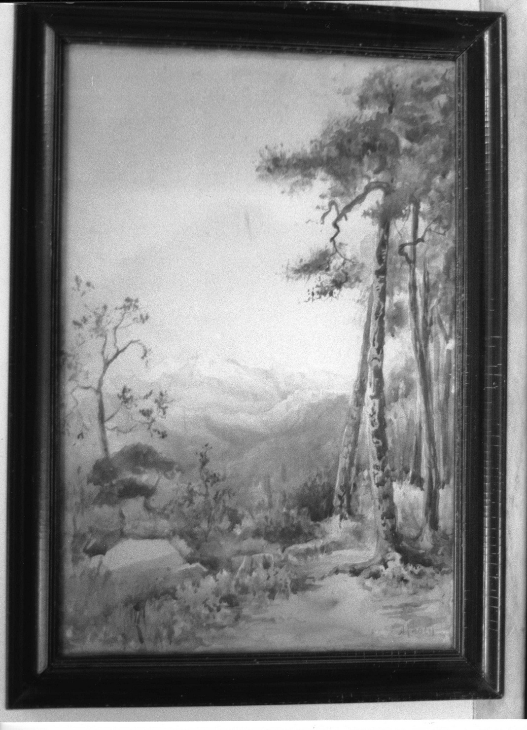 Veduta del Monte Toraggio, VEDUTA DEL MONTE TORAGGIO (disegno) di Leach A. J (fine/inizio secc. XIX/ XX)