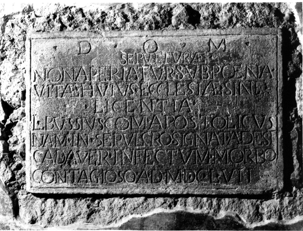 lastra tombale - ambito viterbese (sec. XII, sec. XIII, sec. XVII)
