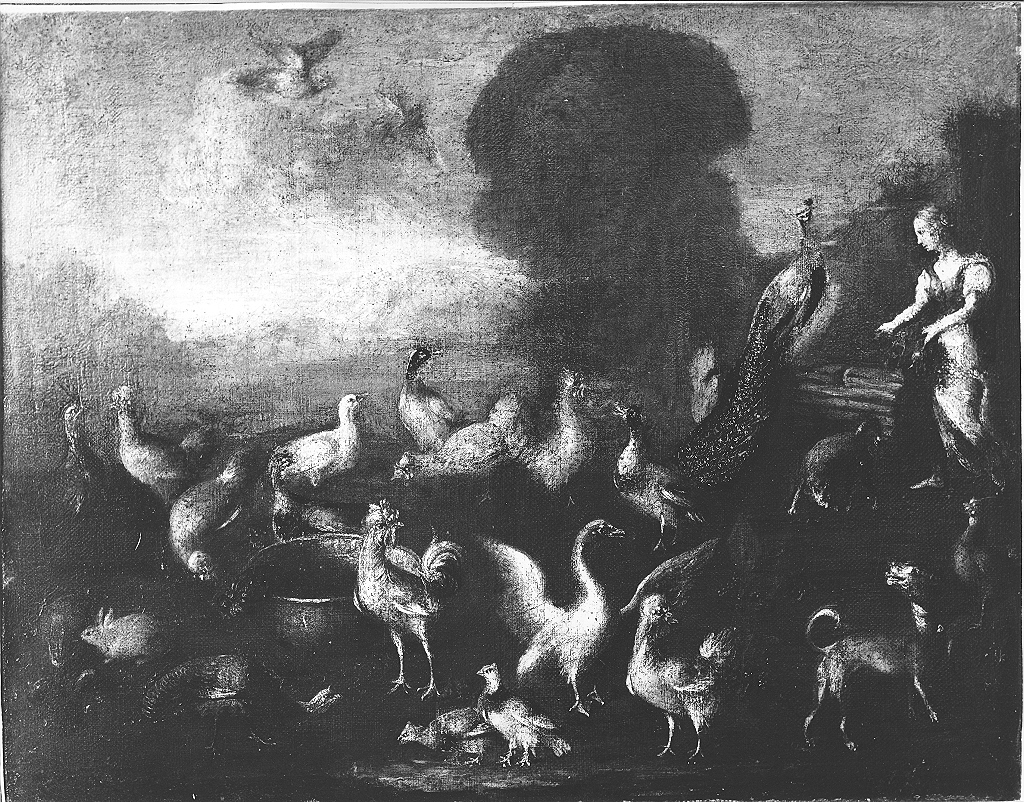 scena campestre (dipinto) - ambito emiliano (sec. XVII)