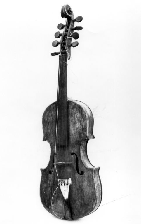 violino di Chiavellati Domenico (sec. XVIII)