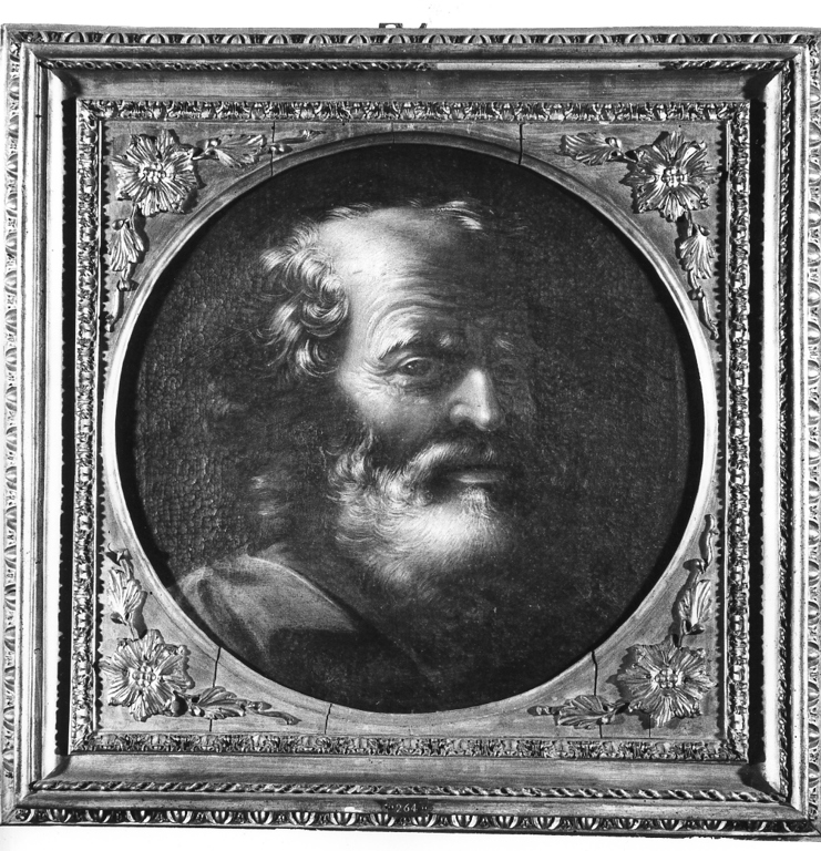testa d'uomo con barba (dipinto, opera isolata) - ambito romano (prima metà sec. XVII)