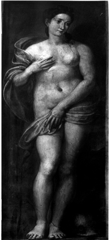 Venere (dipinto) di Siciolante Girolamo (sec. XVI)