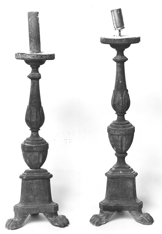 motivi decorativi vegetali stilizzati (candeliere, serie) - bottega laziale (sec. XIX)