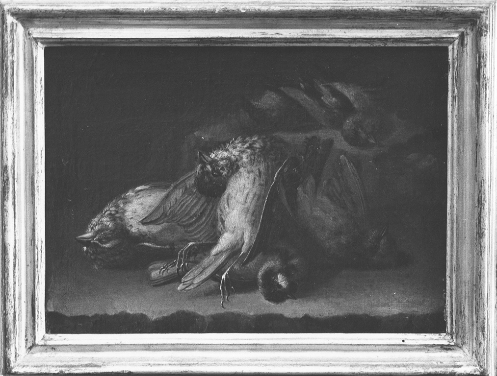 natura morta con cacciagione (dipinto) di Napolitano Alessandro (secc. XVII/ XVIII)