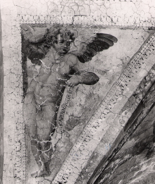 angelo reggicartiglio (dipinto, complesso decorativo) - ambito laziale (seconda metà sec. XVII)