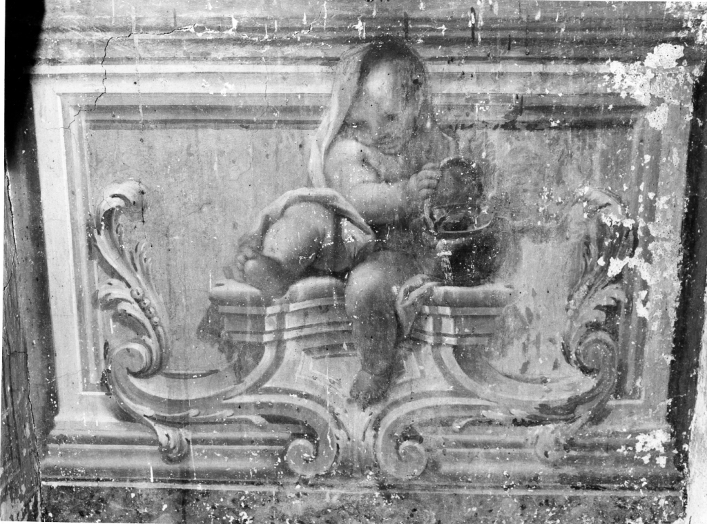 putto (dipinto) di Cerruti Domenico (primo quarto sec. XVIII)