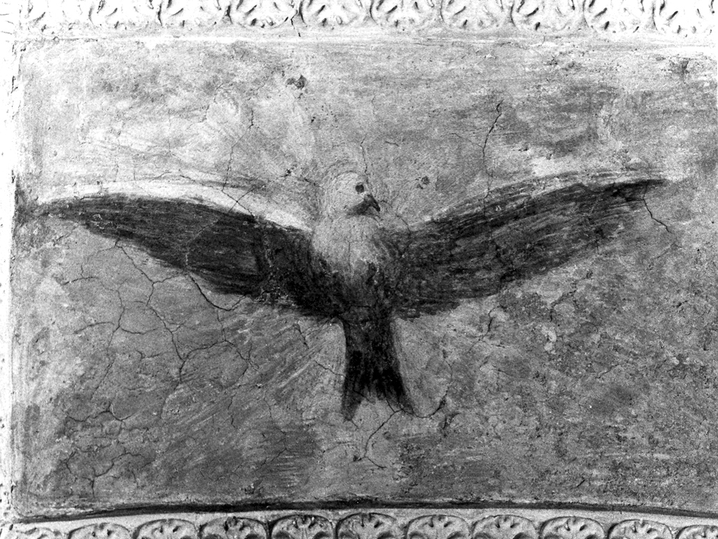 disegno della colomba dello spirito santo