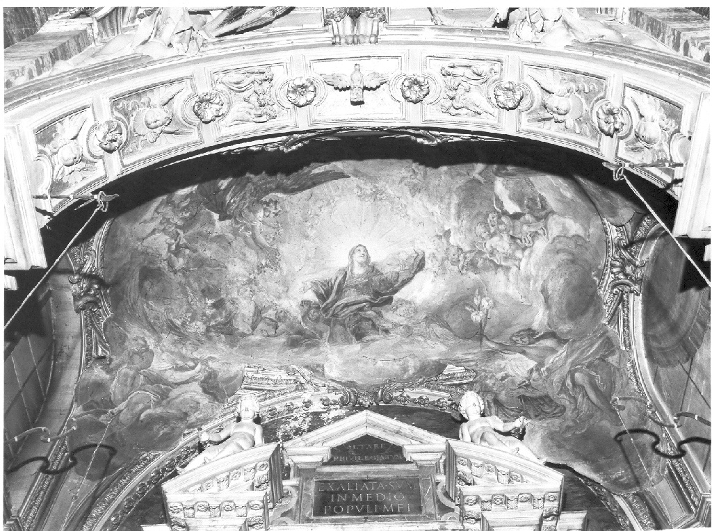 Madonna Assunta (dipinto) di Alfani Emanuele (sec. XVIII)