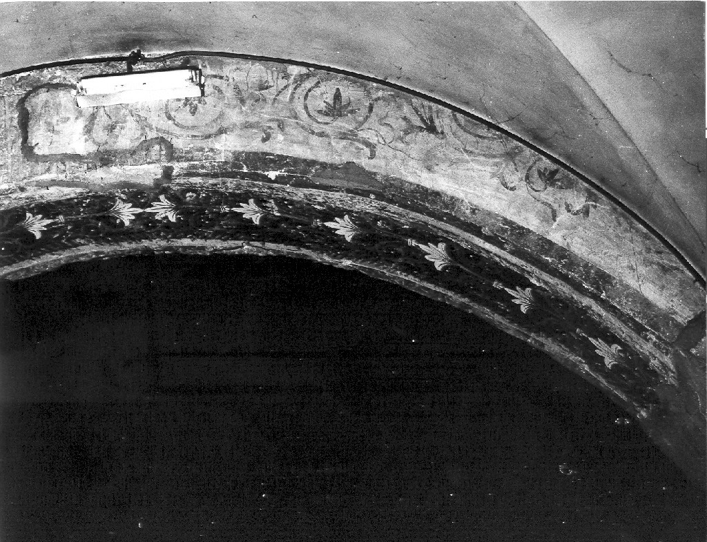 motivi decorativi a girali (dipinto) - ambito romano (sec. XIII)