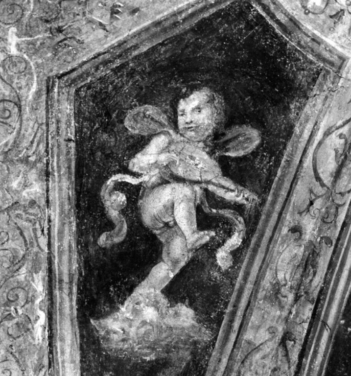 Angioletto con liuto (dipinto, ciclo) di Bazzi Giovanni Antonio detto Sodoma (attribuito) (sec. XVI)