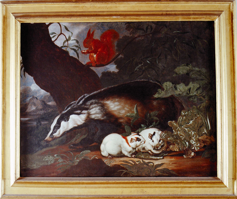Tasso e cavie (dipinto) - ambito fiammingo (sec. XVII)